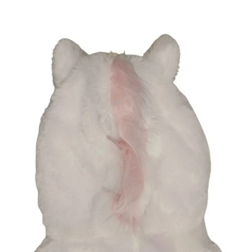 NWT Hooded Unicorn Costume Infant 3-6M White Pink Sparkle Horn Easter Dress-Up‎